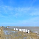 축제-평화의 축제 | [화성 매향리 제5회 농섬 아트런 축제 후기]마누라와 함께한 평화의 섬, 예술과 바다를 달리다 🏃‍♀️🌅