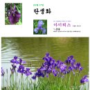 아이리스(IRIS) 이미지