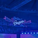 2025 정우 팬미팅 [Golden Sugar Time] 첫타임 후기