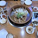 오리랑돼지랑 이미지