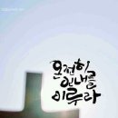 석사용인대태권도 이미지