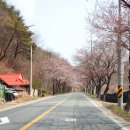 금산천1길 이미지