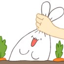 클리나미 이미지