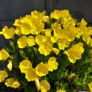 토마토정형외과의원 이미지