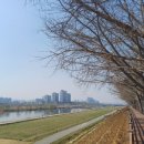 은행나무자동차공업사 이미지