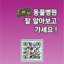 푸식스디자인