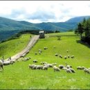 운기목장 이미지