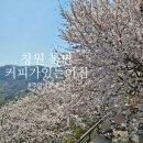 의창-북면-6-비-6 | 창원 북면벚꽃카페 커피가 있는 아침 주말 방문 후기