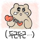 브루스 리우 피아노 리사이틀 이미지