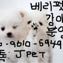 순수 이미지