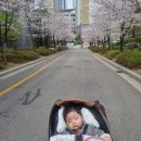 엘미니 | 2025년 4월의 일상기록