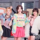 시크릿 동아일보