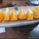 가단암소정 이미지