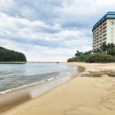 마차진해수욕장 이미지