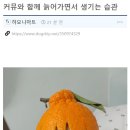 구작경로당 이미지