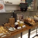 사파동284 이미지