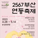 [올마이스] 2567 부산 연등 축제 이미지