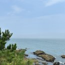 청사포횟집 - 창원시 성산구 마디미동로 3 | 청사포조개구이 맛집 오션뷰 부산조개구이맛집 강력추천 착한횟집 청사포 조개구이