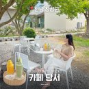담서 | 광주근교 장성 데이지꽃 명소 대형 카페 추천 :: 담서