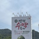 정연유통 | 2026 양평 아이와 가볼만한 여름 수박축제