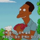레발콩 이미지