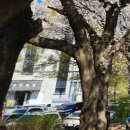 아중호수 화장실 이미지