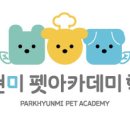 브로콜리 펫푸드 이미지