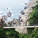 욕지 출렁다리 이미지