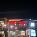 더 엘레펀트 | [행궁동 맛집] 행궁동 와인바 엘리펀트인더룸 후기. 행궁동 데이트 장소