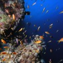 블루홀(BLUE HOLE) 이미지