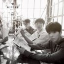 winner(위너) 이미지