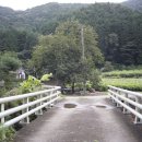 라스텔라편백숲 이미지