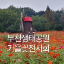 나래놀이공원(한길초 옆) | 부천 자연생태공원 야간개장 주차 가을꽃 산책하기 좋은곳