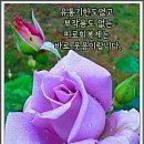 행복 이미지