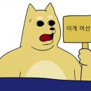문어사냥 네이버블로그