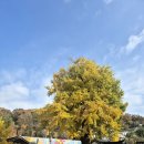 전주향교 이미지