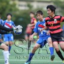 서울서강초등학교 이미지