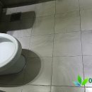 에코케어(eco-care) 이미지