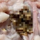 하림생닭통닭 이미지