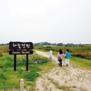 하늘6(유채밭) 이미지