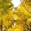 중장하녹 이미지