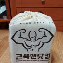 근육맨닷컴 | 헬스보충제 프로틴바 : 근육맨닷컴 후기