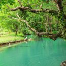 블루라군 이미지