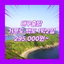 동백섬민박 | 대구출발 거문도 1박2일 패키지 여행사 / 여수여객선터미널 / 대구_거문도_1박2일 #백도