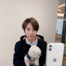 대갈집 이미지
