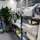 야옹 멍멍 이미지