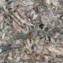 갤러리Haus 이미지