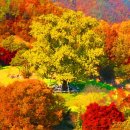 (주)은행나무 이미지