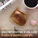 버터집 | 발효버터 소금빵 냉동생지 집에서 즐기는 버터동굴 소금빵 후기