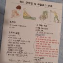 발아정형외과의원 이미지